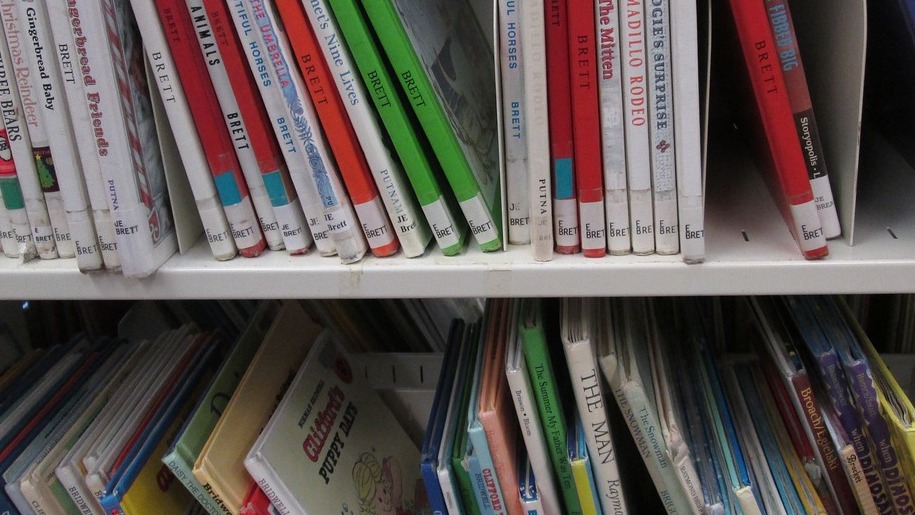Generic books on shelves