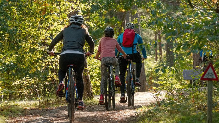 Generic Cycling with family through the woods.