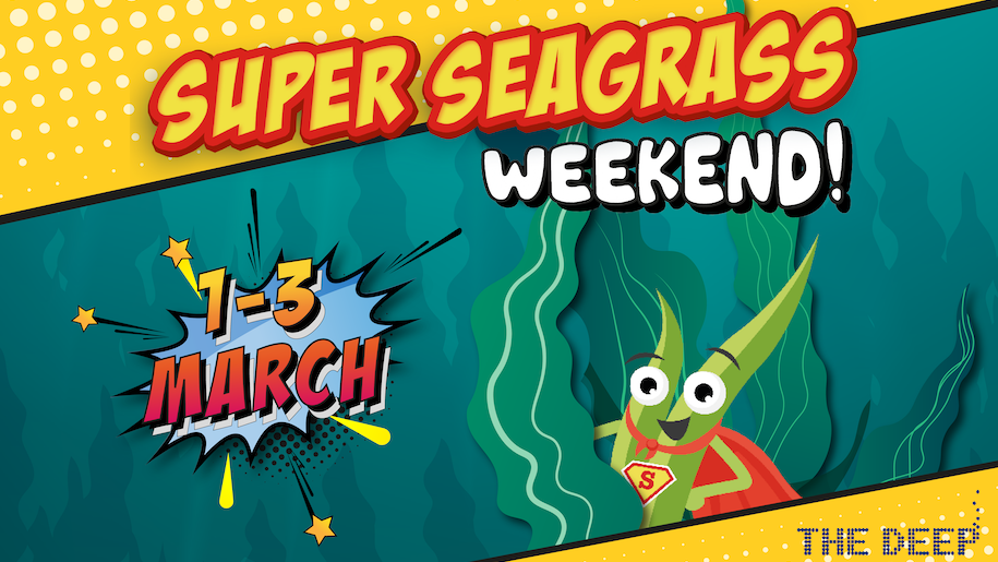 Super Seagrass event poster at The Deep on 1-3 March