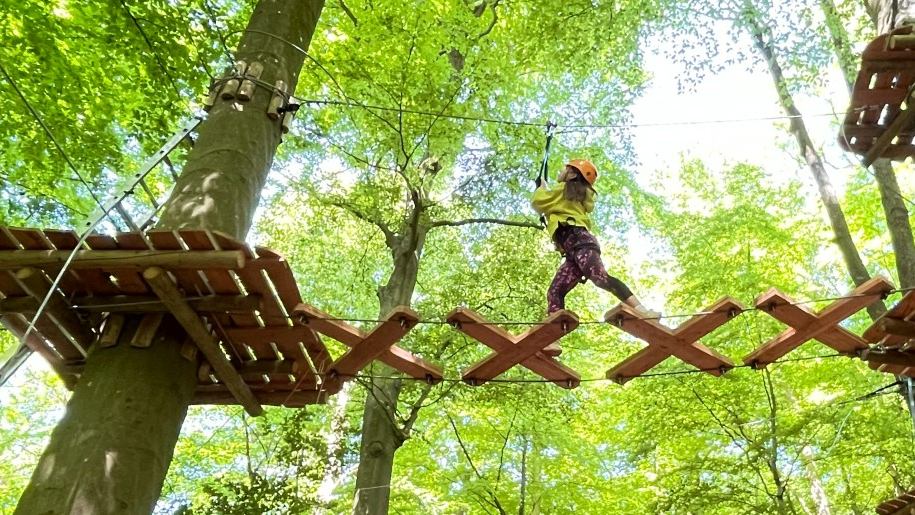 A crossing on a high ropes course.