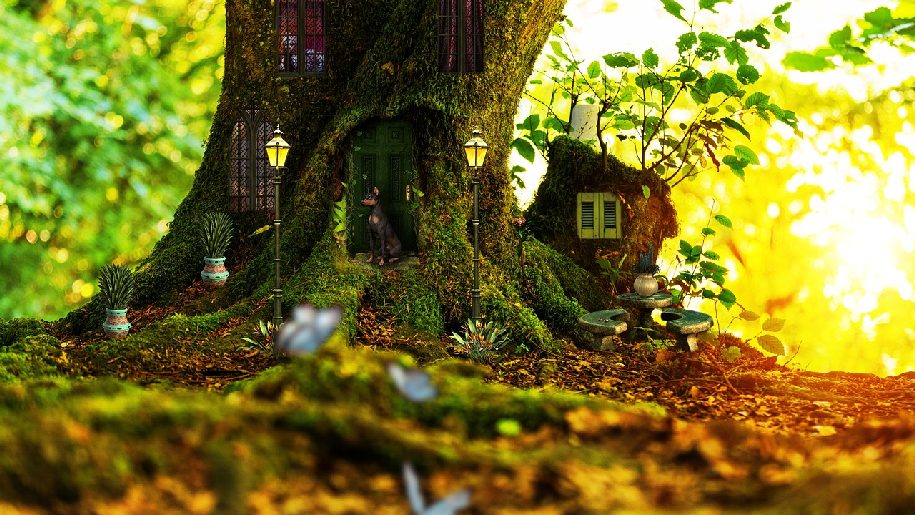 Generic fairy house in the woods