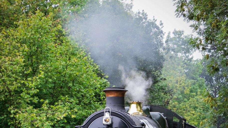 Steam train in woodland.