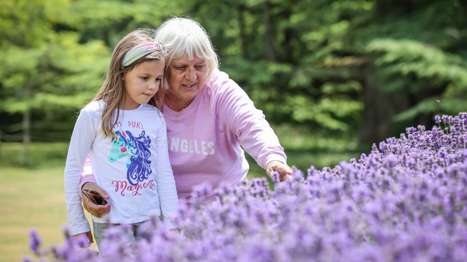 An elderly woman and young girl pointing at lavender bushes at Marwell Zoo Hampshire