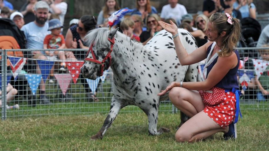 Pony performing tricks at the Royal Three Counties Show.
