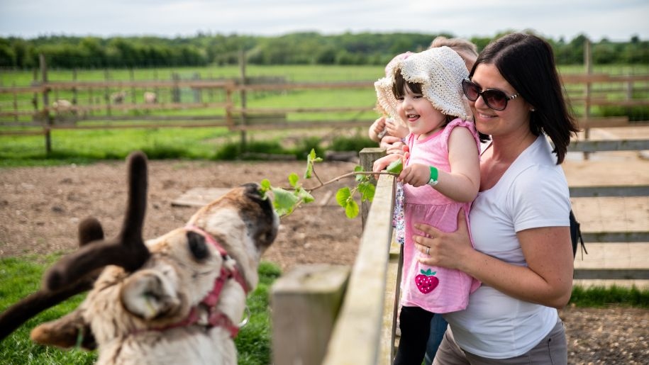 Adult and child with a reindeer at Hogshaw Farm & Wildlife Park.