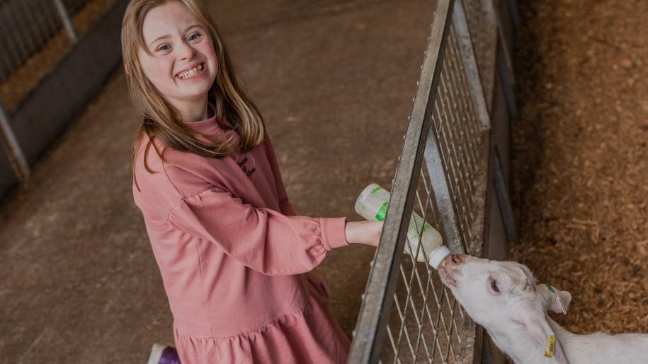 A child bottle feeding a goat.