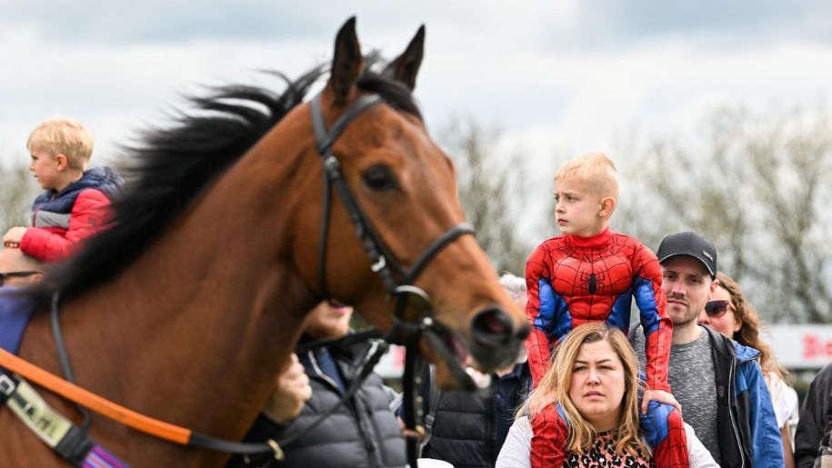 A family watching a racehorse walk by at Newcastle Racecourse.