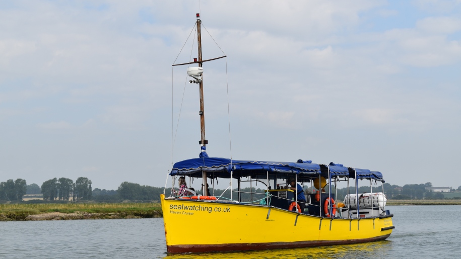 A yellow boat taking passengers on a seal watching trip from Harwich.