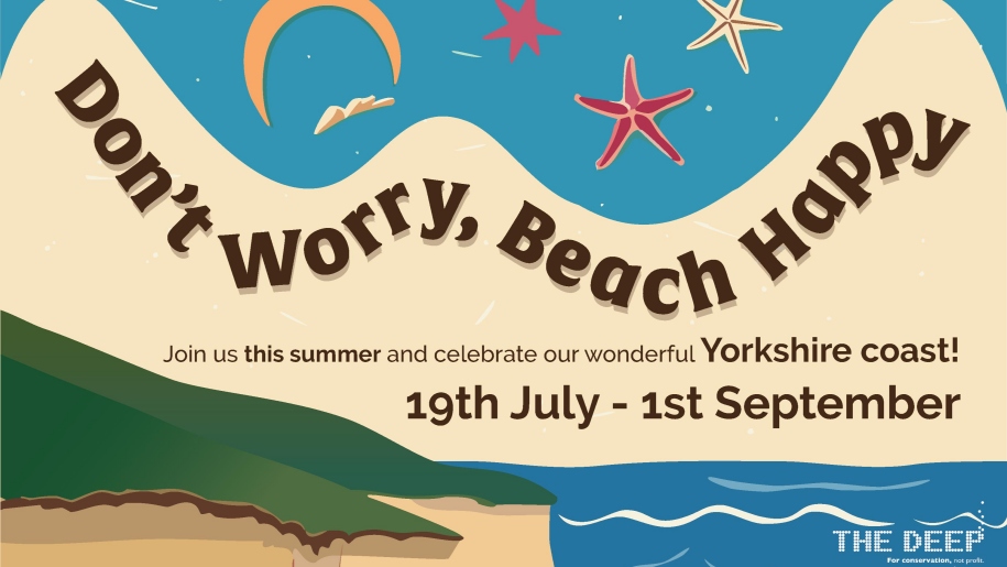 Graphic of a beach for The Deep's summer holidays event in East Yorkshire.