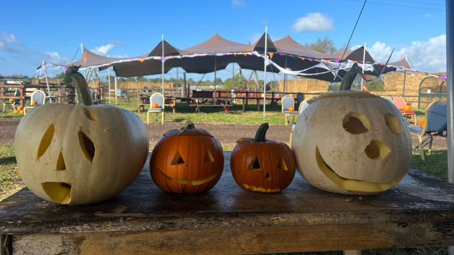 White and orange carved pumpkins for Halloween.