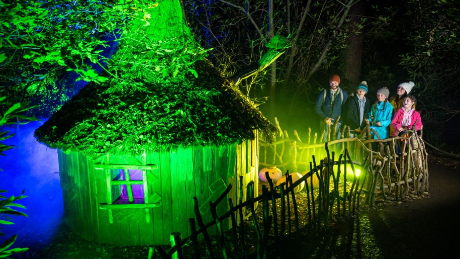 A fairytale house illuminated for BeWILDerwood's Halloween event.