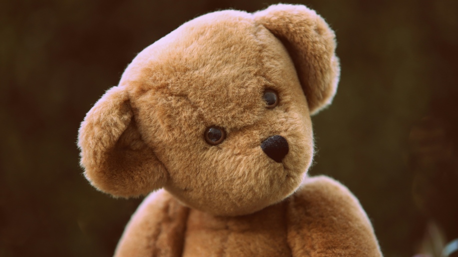 Head and shoulders of a child's brown teddy bear.