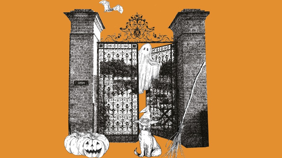 Halloween graphic showing gates, a bat, ghost, cat wearing a witch's hat, broomstick and two pumpkins.