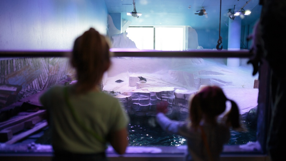 Children staring into an exhibit at The Deep.