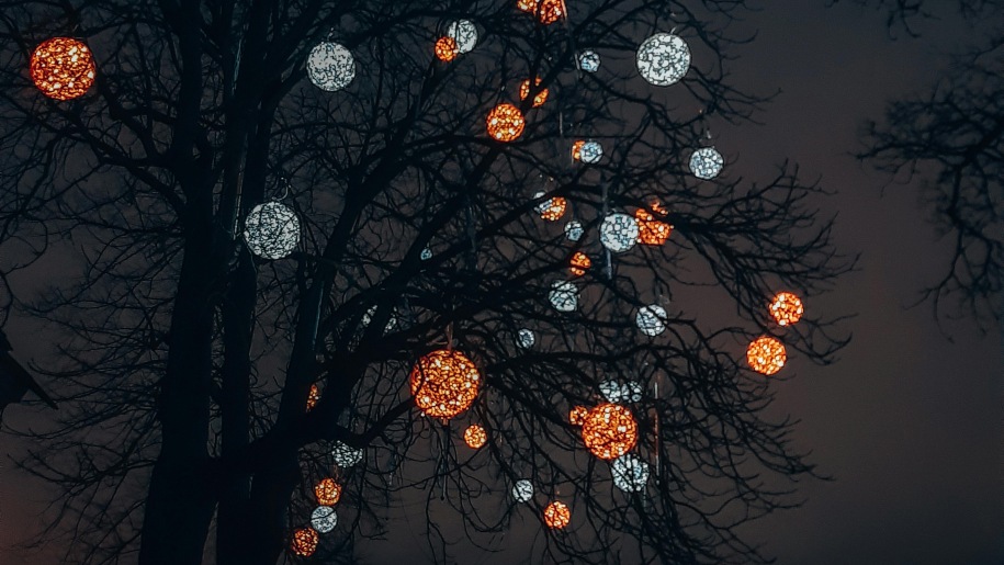 After-dark Christmas lights display on a tree.