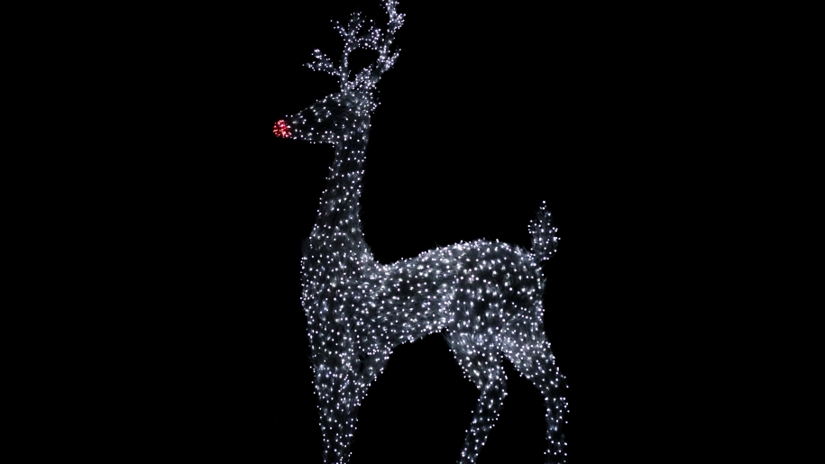 Reindeer decoration lit up for Christmas.