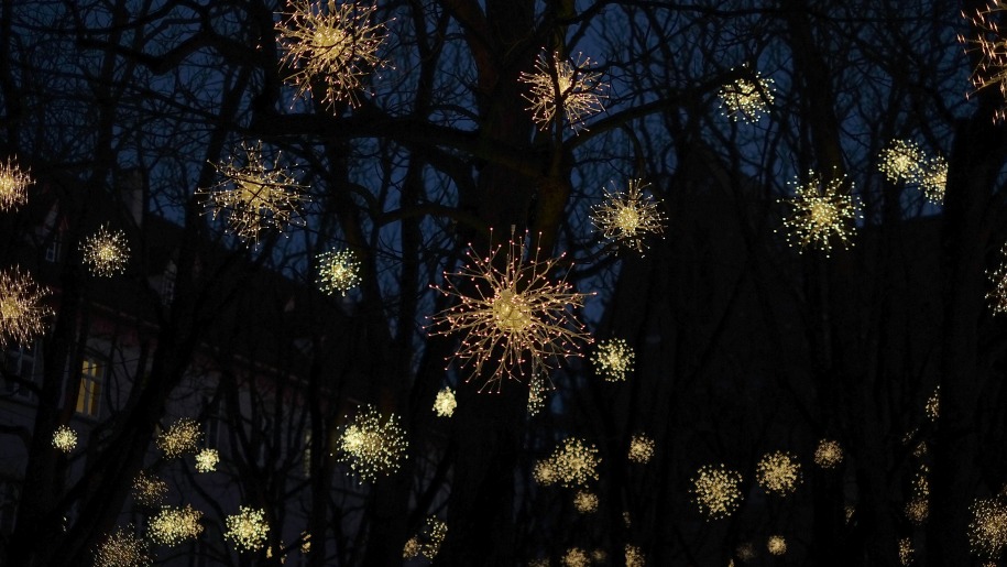 Lights on trees at night.