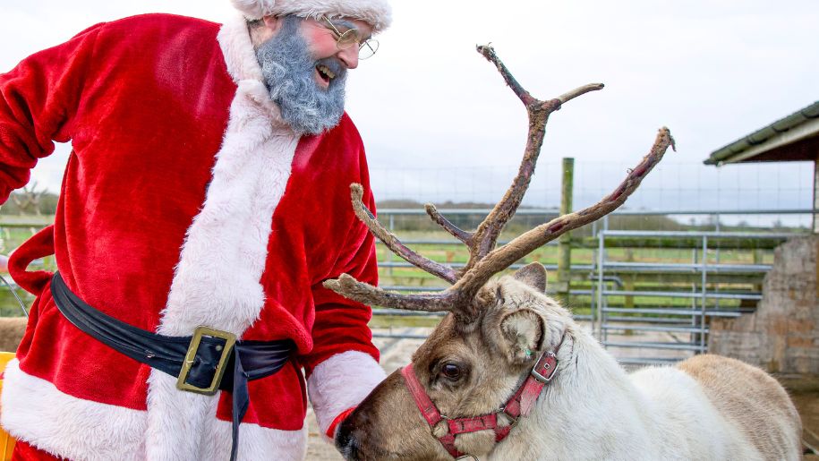 Hogshaw Farm Christmas