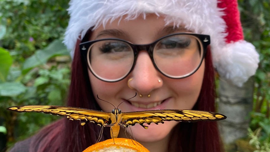 stratford on avon butterfly farm