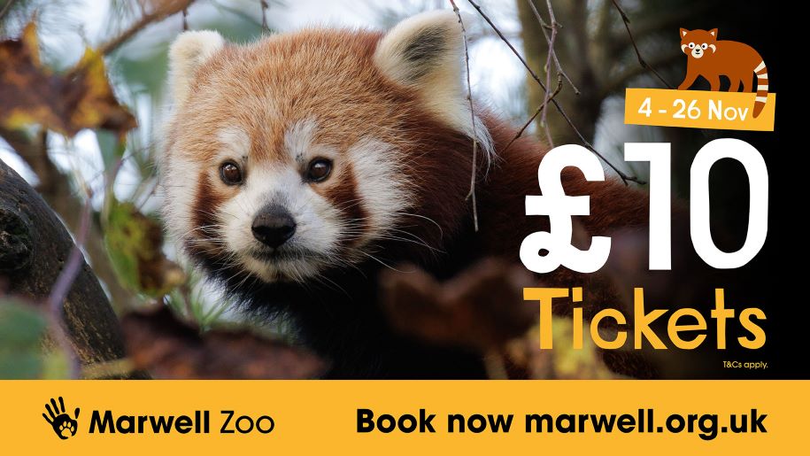 Marwell Zoo ticket