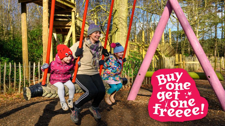 Adult and children on a swing at BeWILDerwood.