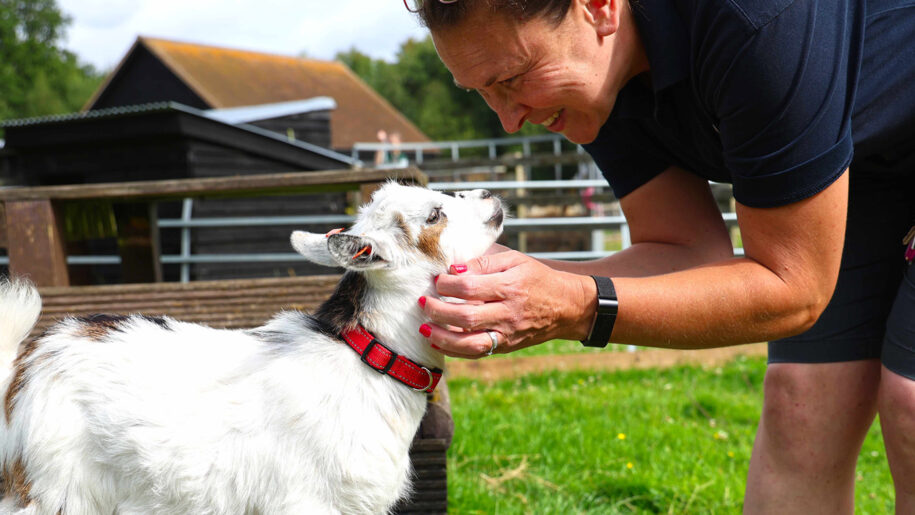 lady pets goat