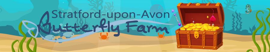 animation for STartford Butterfly Farm Bronze HST