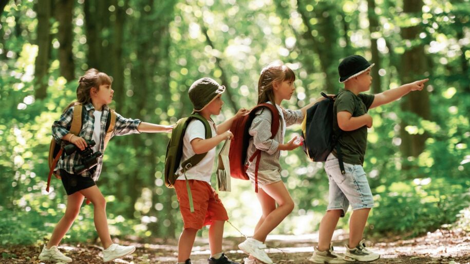 kids go for a woodland walk