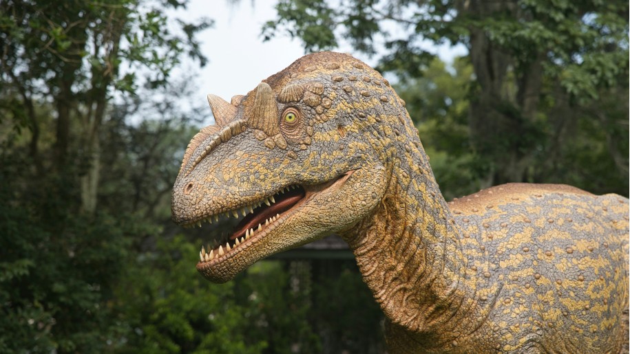 Head and shoulders of a life-sized model dinosaur in woodland.