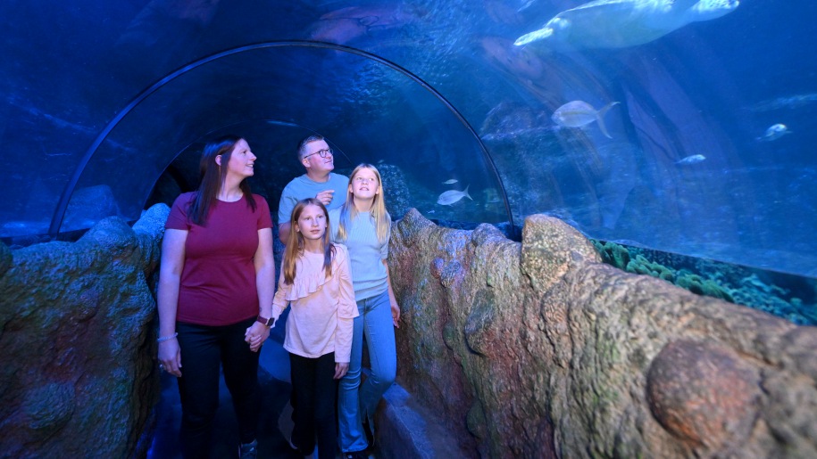 Family in an underwater viewing tunnel at an aquarium.