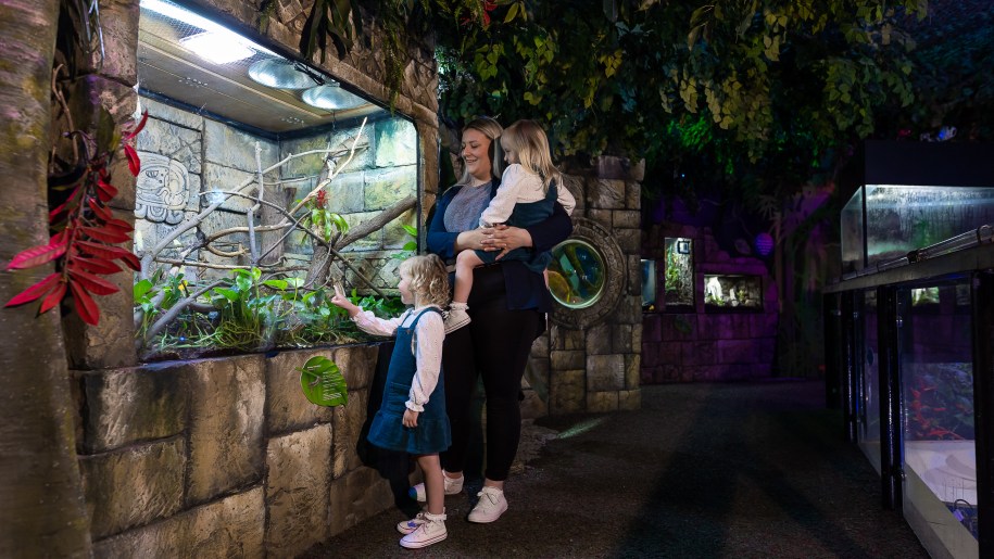 Mother and two children looking at wildlife amongst branches behind glass.