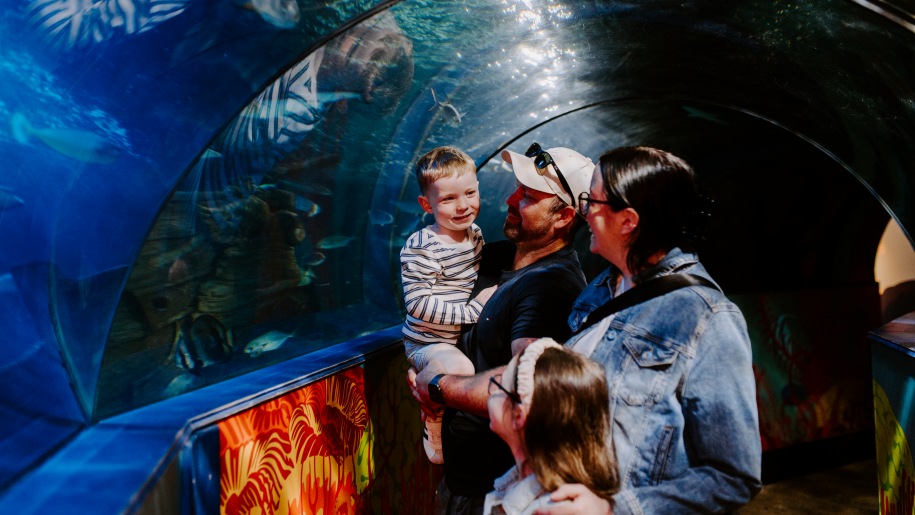 Family in an underwater viewing tunnel at an aquarium.