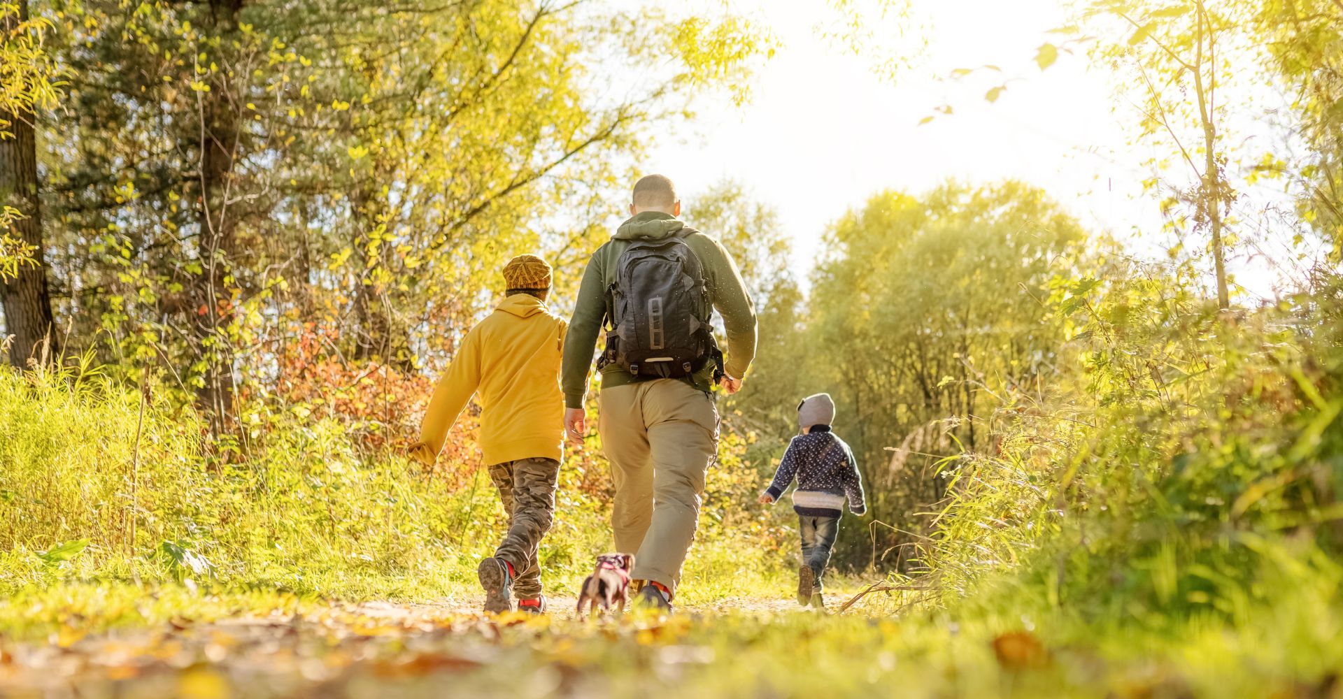 family walk in sunny wood
