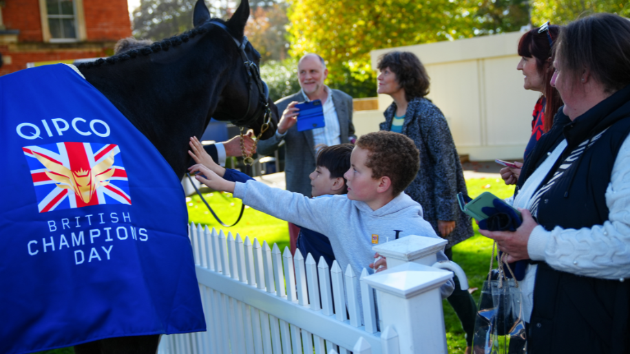 boy stroking horse