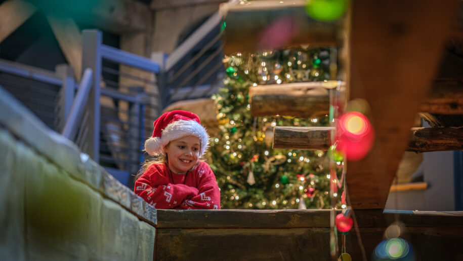 child in christmas hat