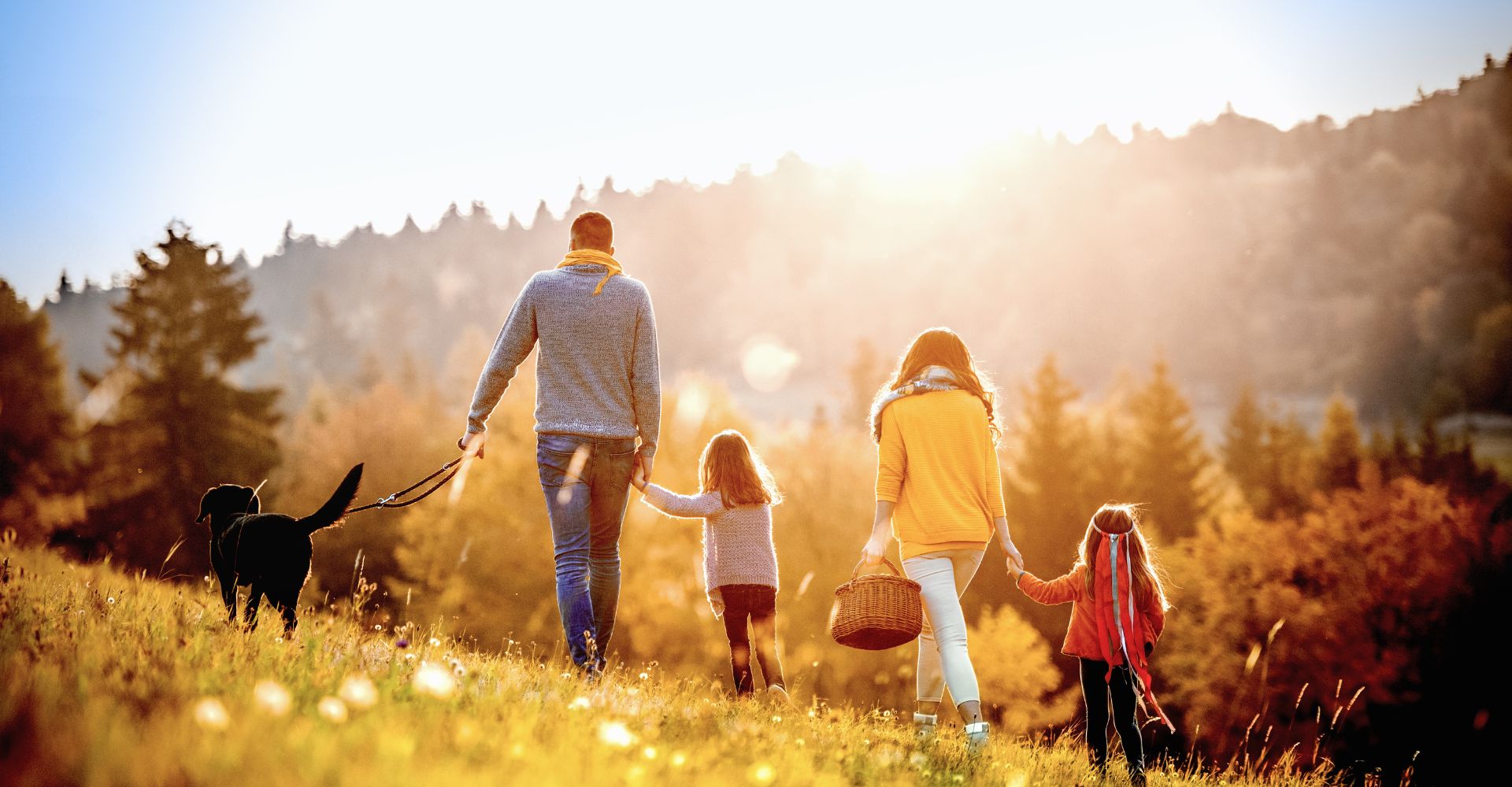 family walk in dappled sunlight with black dog