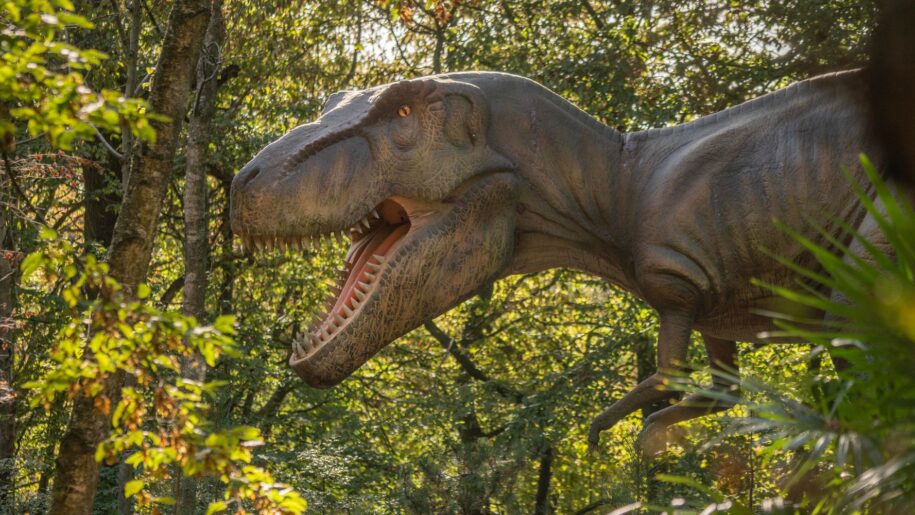 dinosaur model