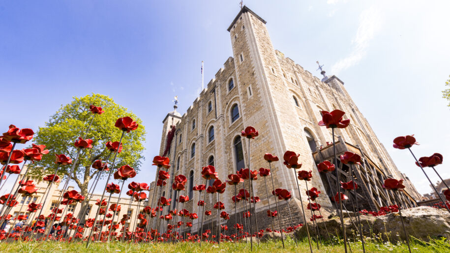 Installation of poppies for the Tower Remembers Installation 2025.