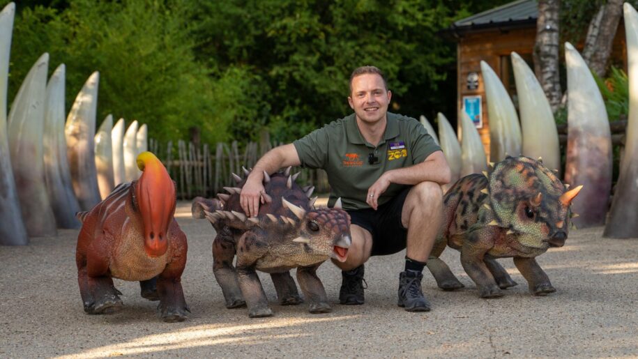 member of staff poses with three dinosaur models