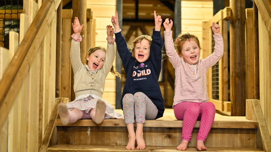 Three girls sitting on wooden stairs cheering.