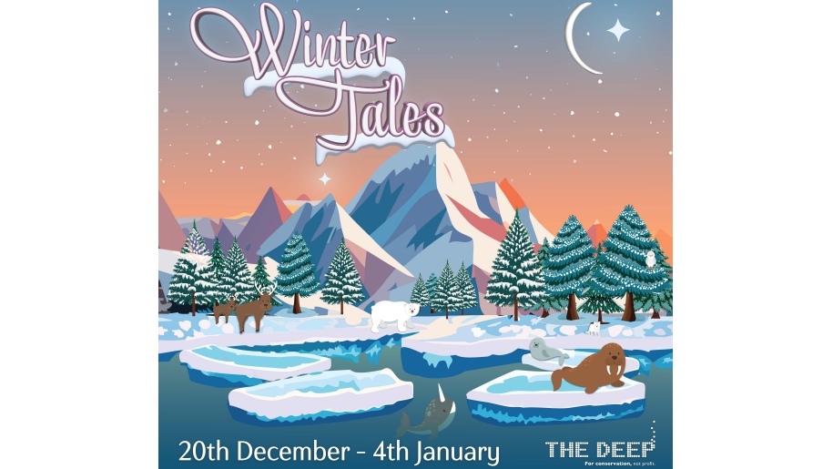 Poster of a wintery scene with snow-capped mountains, icebergs and animals.