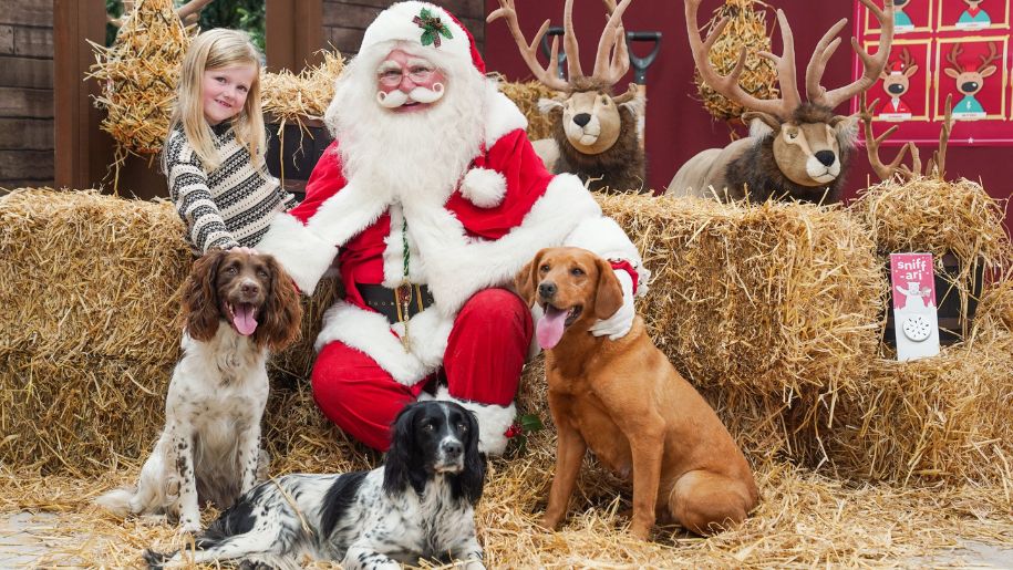 santa with children and three dogs