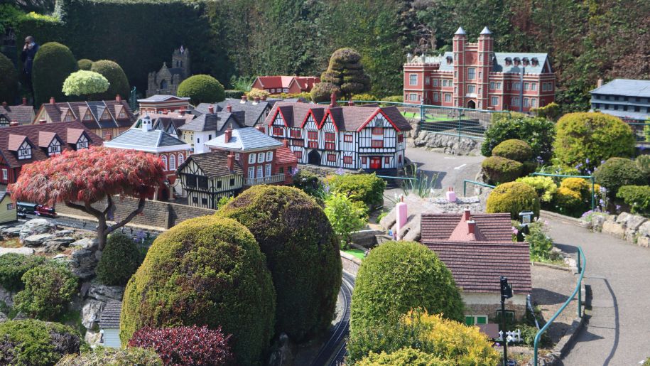 Trees, houses, a road and railway line in a model village.
