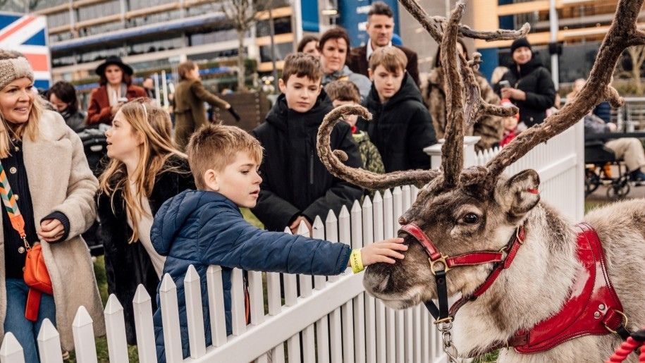 boy strokes a reindeer over a white fence