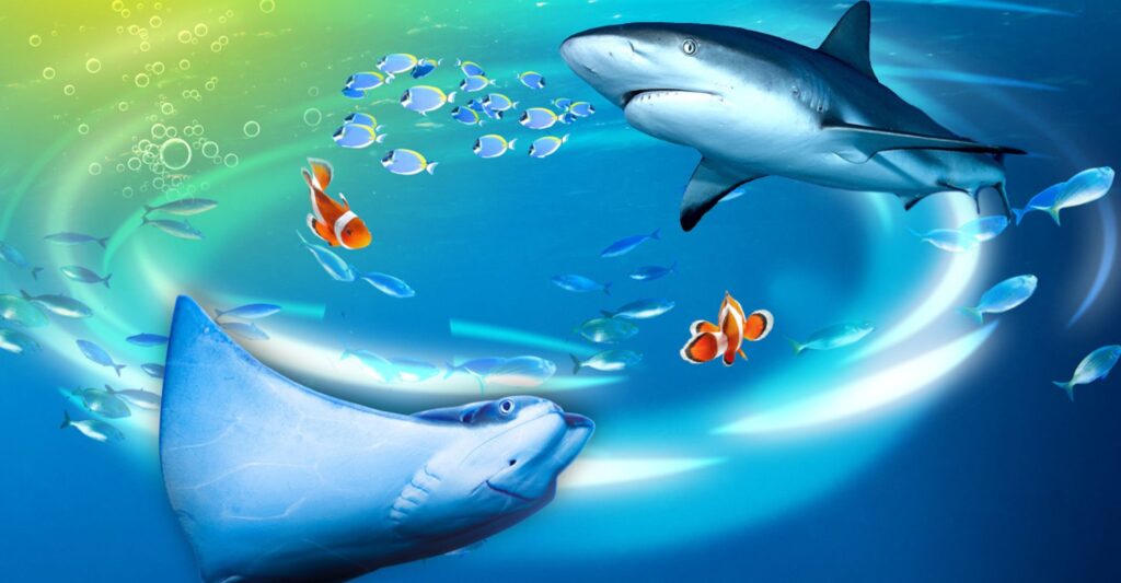 visual of a shark and a whale, and blue fish, and orange and white fish