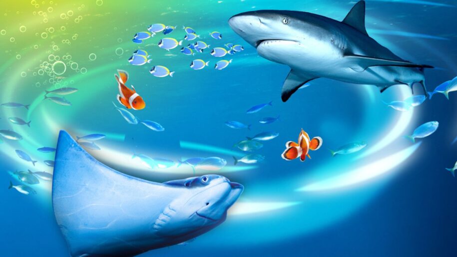 visual of a shark and a whale, and blue fish, and orange and white fish