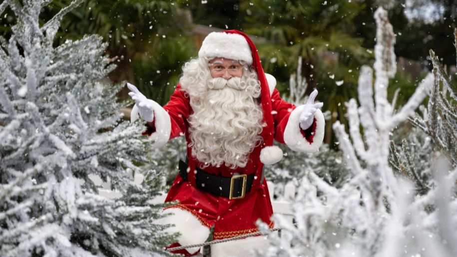 santa in snow covered trees