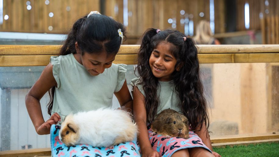 Two girls cuddling guinea pigs at Farmer Palmer's Farm Park.
