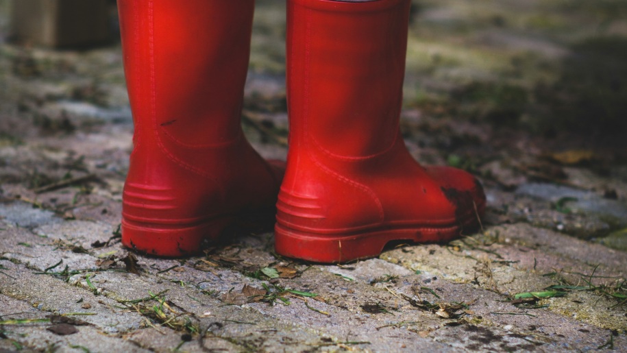 Two red wellington boots.