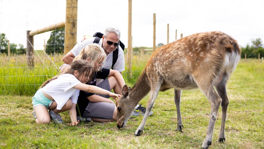 family feeding a deer